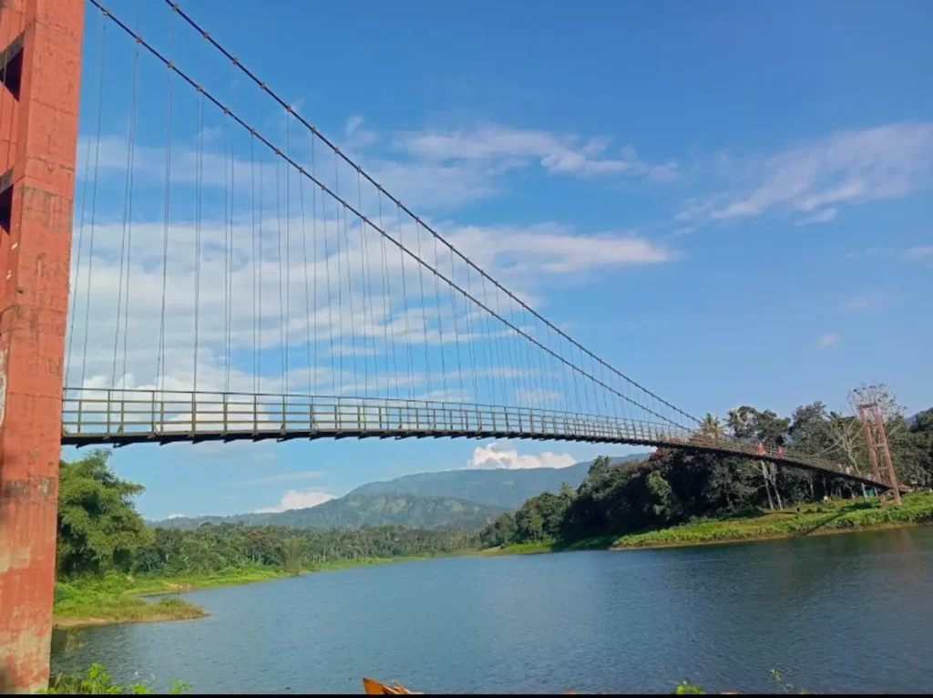 hanging bridge-resort with swimming pool in idukki