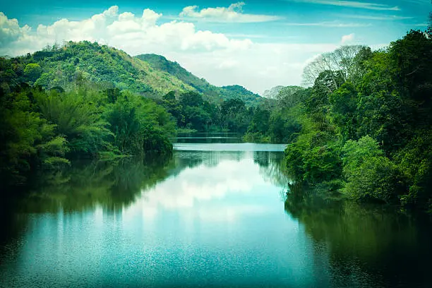 resort with swimming pool in idukki