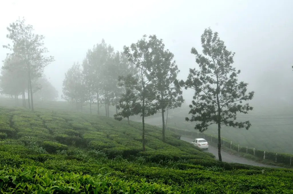 resort in idukki