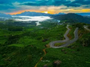 resort-with-swimming-pool-in-idukki-vagamon-root